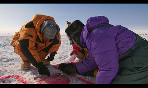 南极料理人 吃刨冰